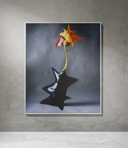 Artistic Woven Cotton Throw Blanket | Design Vesna Makarov